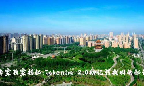 专家独家揭秘：Tokenim 2.0助记词找回的秘诀