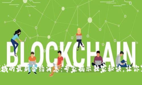 区块链领域的最新合约消息：专家揭示独家秘诀，让你紧跟潮流！