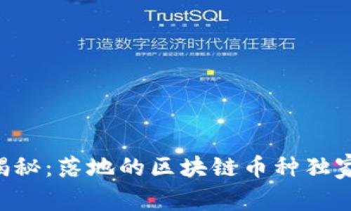 专家揭秘：落地的区块链币种独家秘诀！