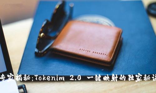 专家揭秘：Tokenim 2.0 一键映射的独家秘诀