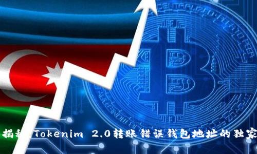 专家揭秘：Tokenim 2.0转账错误钱包地址的独家秘诀
