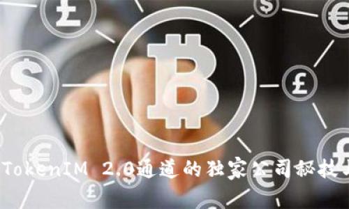 专家揭秘：TokenIM 2.0通道的独家公司秘技与应用场景