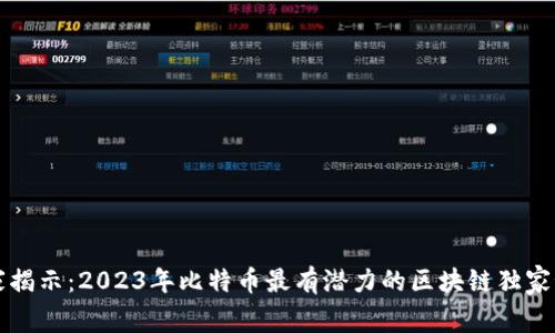 专家揭示：2023年比特币最有潜力的区块链独家秘诀