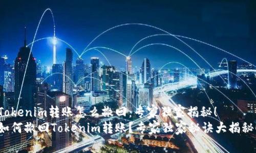 Tokenim转账怎么撤回：专家独家揭秘！
如何撤回Tokenim转账？专家独家秘诀大揭秘！