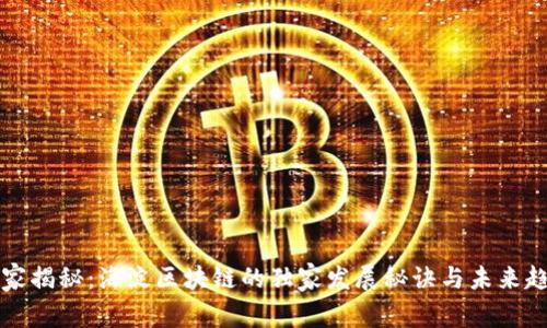 专家揭秘：海淀区块链的独家发展秘诀与未来趋势