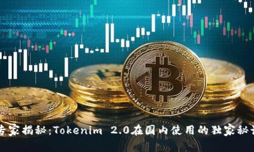 专家揭秘：Tokenim 2.0在国内使用的独家秘诀
