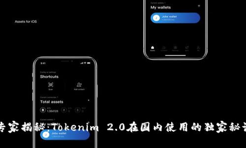 专家揭秘：Tokenim 2.0在国内使用的独家秘诀