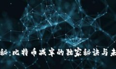 专家揭秘：比特币减半的独家秘诀与未来趋势