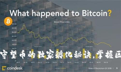 专家解密：守望币的独家孵化秘诀，掌握区块链未来！