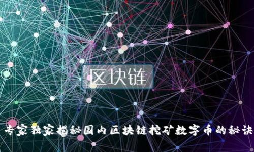 专家独家揭秘国内区块链挖矿数字币的秘诀