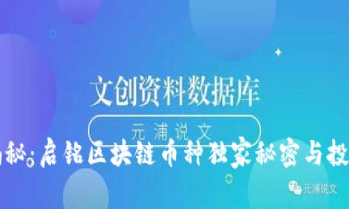 专家揭秘：启铭区块链币种独家秘密与投资秘诀