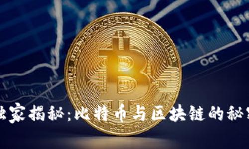 专家独家揭秘：比特币与区块链的秘密秘诀