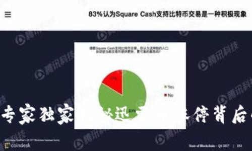 区块链专家独家揭秘迅雷币涨停背后的秘诀！