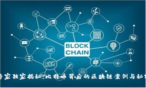 专家独家揭秘：比特币背后的区块链案例与秘密