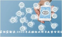 专家独家解读：2023年区块链比特币走势分析秘诀