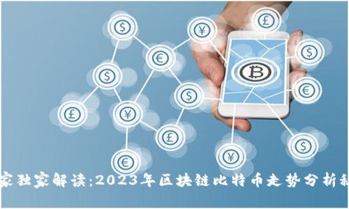 专家独家解读：2023年区块链比特币走势分析秘诀
