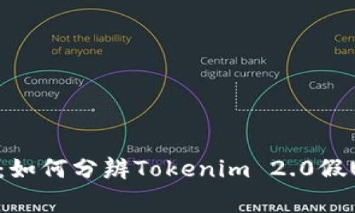 专家告诉你：如何分辨Tokenim 2.0假U的独家秘诀