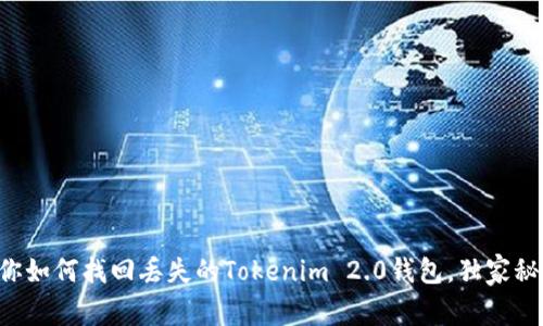 专家教你如何找回丢失的Tokenim 2.0钱包，独家秘诀分享！