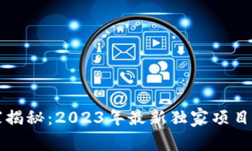 区块链专家揭秘：2023年最新独家项目和投资秘诀