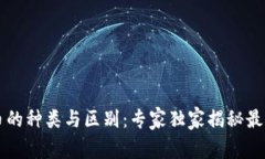 区块链数字币的种类与区别：专家独家揭秘最新