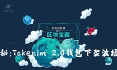 专家独家揭秘：Tokenim 2.0钱包下架波场的内幕秘诀
