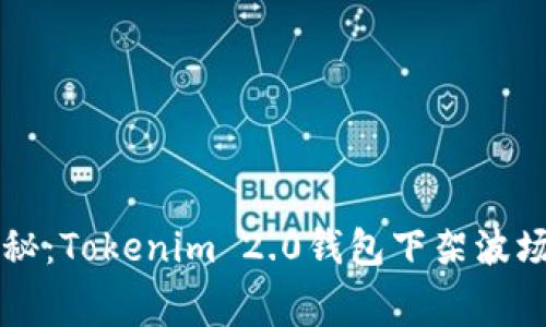 专家独家揭秘：Tokenim 2.0钱包下架波场的内幕秘诀