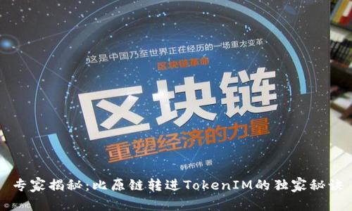 专家揭秘：比原链转进TokenIM的独家秘诀