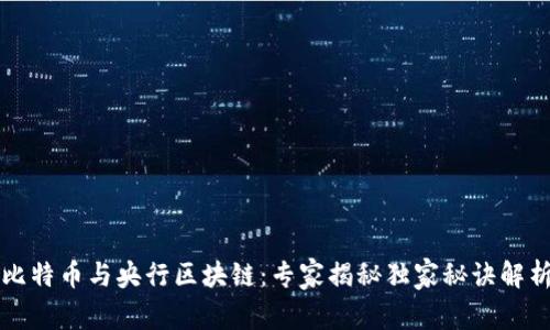 比特币与央行区块链：专家揭秘独家秘诀解析