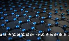 区块链专家独家揭秘：小丑币的秘密与未来