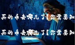 Tokenim 2.0 钱包买的币去哪儿了？你需要知道的专