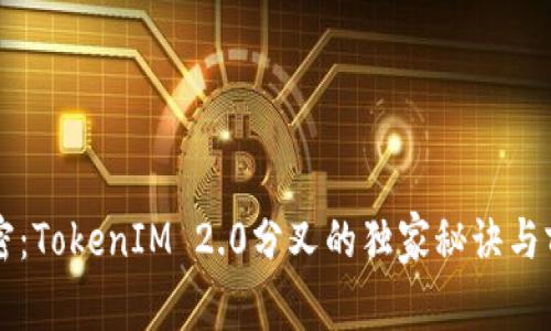 专家解密：TokenIM 2.0分叉的独家秘诀与前景分析