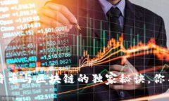 专家揭秘：比特币与区块链的独家秘诀，你不知