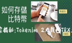专家独家揭秘：Tokenim 2.0钱包TRX兑换秘诀