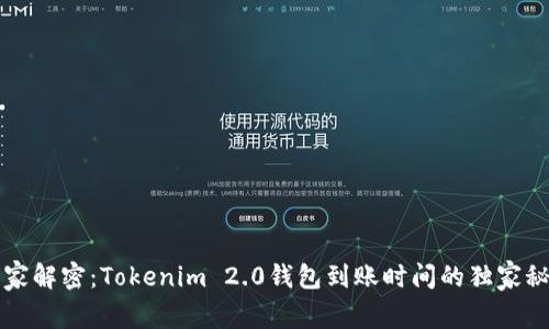 专家解密：Tokenim 2.0钱包到账时间的独家秘诀