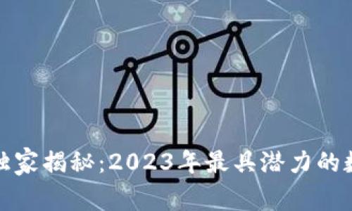 炒币区块链专家独家揭秘：2023年最具潜力的数字货币项目秘诀
