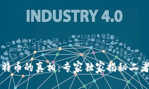 区块链与比特币的真相：专家独家揭秘二者的秘密秘诀