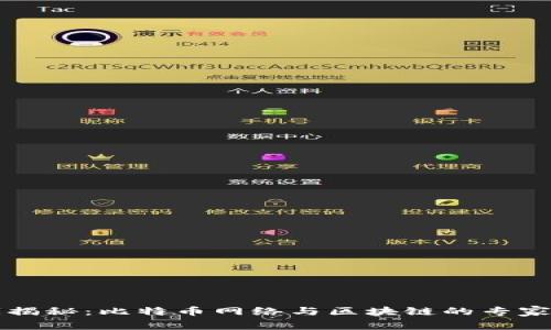 独家揭秘：比特币网络与区块链的专家秘诀