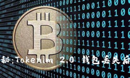 专家独家揭秘：Tokenim 2.0 钱包丢失后的找回秘诀