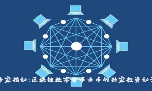 专家揭秘：区块链数字货币云币的独家投资秘诀