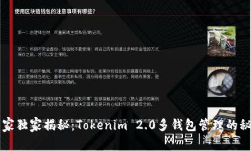专家独家揭秘：Tokenim 2.0多钱包管理的秘诀