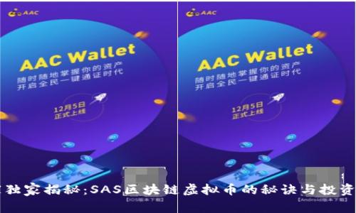 专家独家揭秘：SAS区块链虚拟币的秘诀与投资前景