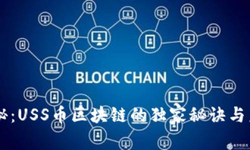 专家揭秘：USS币区块链的独家秘诀与未来展望