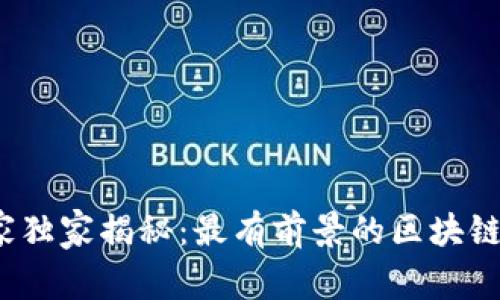 2023年专家独家揭秘：最有前景的区块链币投资秘诀