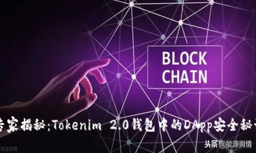 专家揭秘：Tokenim 2.0钱包中的DApp安全秘诀