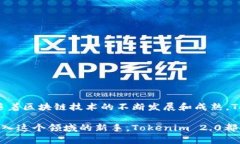 在讨论Tokenim 2.0能够放置哪些货币之前，我们需要