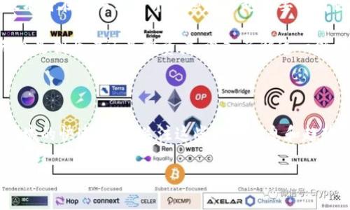 ### 数字中国和区块链的最新消息

在近年来，数字中国和区块链技术的发展引起了广泛的关注。国家对于数字经济的重视，伴随着区块链技术的不断成熟，使得这一领域变得格外活跃。下面我们来一起探讨一些最新的消息和趋势。

#### 数字中国的背景

数字中国战略自提出以来，旨在提升国家信息化水平，推动经济转型和社会发展。数字基础设施的建设、数据资源的整合应用，以及数字技术的创新，都成为了各地政府和企业的重要任务。

最近，国家发改委和多个地方政府相继发布了数字经济的相关政策，设定了2025年的发展目标，力求在数字化转型中实现经济的高质量发展。这些政策不仅促进了技术的研发，还为企业提供了良好的政策环境。

#### 区块链技术的应用扩展

区块链技术作为支撑数字中国的一项核心技术，现已在多个领域得到应用。例如，金融、物流、医疗和版权保护等行业都在探索利用区块链技术来提高效率、降低成本、增强透明度。

最近，有消息称，我国的一些银行开始试点基于区块链的跨境支付系统。这意味着，未来国际贸易的支付将更加便捷，减少了中间环节，大大提升了资金周转的速度。

数字身份与区块链的结合

数字身份是数字中国战略中的一个重要组成部分，而区块链技术则为数字身份的安全和私密性提供了有效保障。现在，一些地方推出了基于区块链的数字身份系统，可以有效防止身份信息泄漏，减少网络诈骗案件。

比如，某地区的电子政务平台通过引入区块链技术，确保了公民身份信息的不可篡改性与透明性，使得政府在服务于民时，可以提供更加可信和高效的服务。这一模式有望在全国范围内推广。

物联网与区块链的融合

随着物联网的高速发展，如何确保物联网设备间的安全通信和数据管理成为了一个重要议题。区块链正是解决该问题的一大利器。通过区块链技术，可以实现物联网设备之间的安全认证和数据共享。

例如，在智慧城市建设中，智能交通系统借助区块链技术来管理交通数据，确保数据的真实性和完整性，从而交通流量，提高城市运作效率。

区块链对供应链管理的影响

在供应链管理中，区块链通过其去中心化和不可篡改的特性，赋予了供应链各环节更高的透明度和可追溯性。最近，一些大型企业开始尝试将区块链技术融入到他们的供应链管理中，以提高商品追溯的效率。

举个例子，某知名食品品牌在其供应链中引入了区块链技术，使消费者能够实时查询到食材从农田到餐桌的每个环节，这不仅增加了品牌的透明度，也提升了消费者的信任度。

政府态度的变化

随着数字中国及区块链技术的推广，我国政府态度也逐渐转变，从最初的审慎探索到现在的积极推动。这不但体现在政策层面的支持，也体现在资金和资源方面的投入。

例如，最近有报道指出，国家层面设立了专项资金用于区块链技术的研发与应用，以支持相关企业的创新和发展。这一政策的出台，不仅为区块链技术的进一步升级创造了条件，也昭示着数字中国战略的深入落实。

未来展望

可以预见，未来数字中国与区块链之间的联系会更加紧密。随着互联网、大数据、人工智能等技术的快速发展，区块链技术将在数字经济中扮演越来越重要的角色。尤其是在信息安全、数据管理等方面，其优势将更加明显。

说真的，如果你对数字中国和区块链的结合感兴趣，了解这些最新动态将能够为你打开新的视野，把握未来的机遇。无论是创业者还是投资者，深入了解这一领域都有助于你在未来的数字经济大潮中立于不败之地。

### 总结

综上所述，数字中国与区块链的结合正在逐步深化。政策的支持、技术的创新，再加上市场的需求，共同推动了这两个领域的快速发展。关注这些最新消息和趋势，无疑是对未来发展机会的前瞻性把握。希望通过这篇文章，大家能对数字中国和区块链的最新动态有更全面的了解。

无论你是来自哪个行业，数字中国都将为我们带来新的机遇，你准备好了吗？