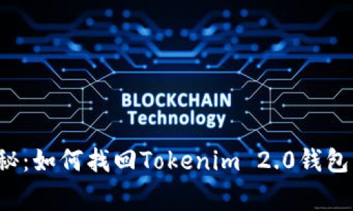 专家独家揭秘：如何找回Tokenim 2.0钱包的资金密码？