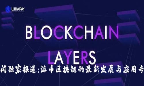 央视新闻独家报道：派币区块链的最新发展与应用专家揭秘