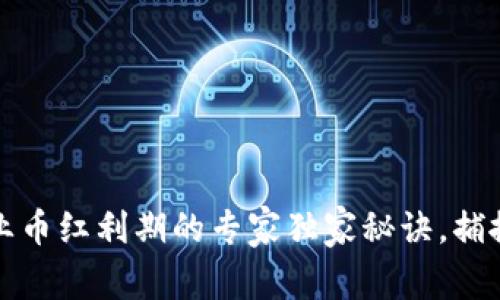 区块链企业币红利期的专家独家秘诀，捕捉投资机会