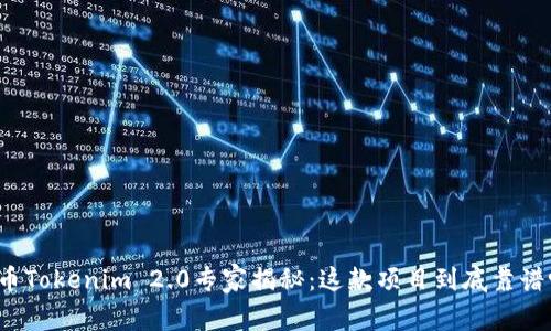 火币Tokenim 2.0专家揭秘：这款项目到底靠谱吗？